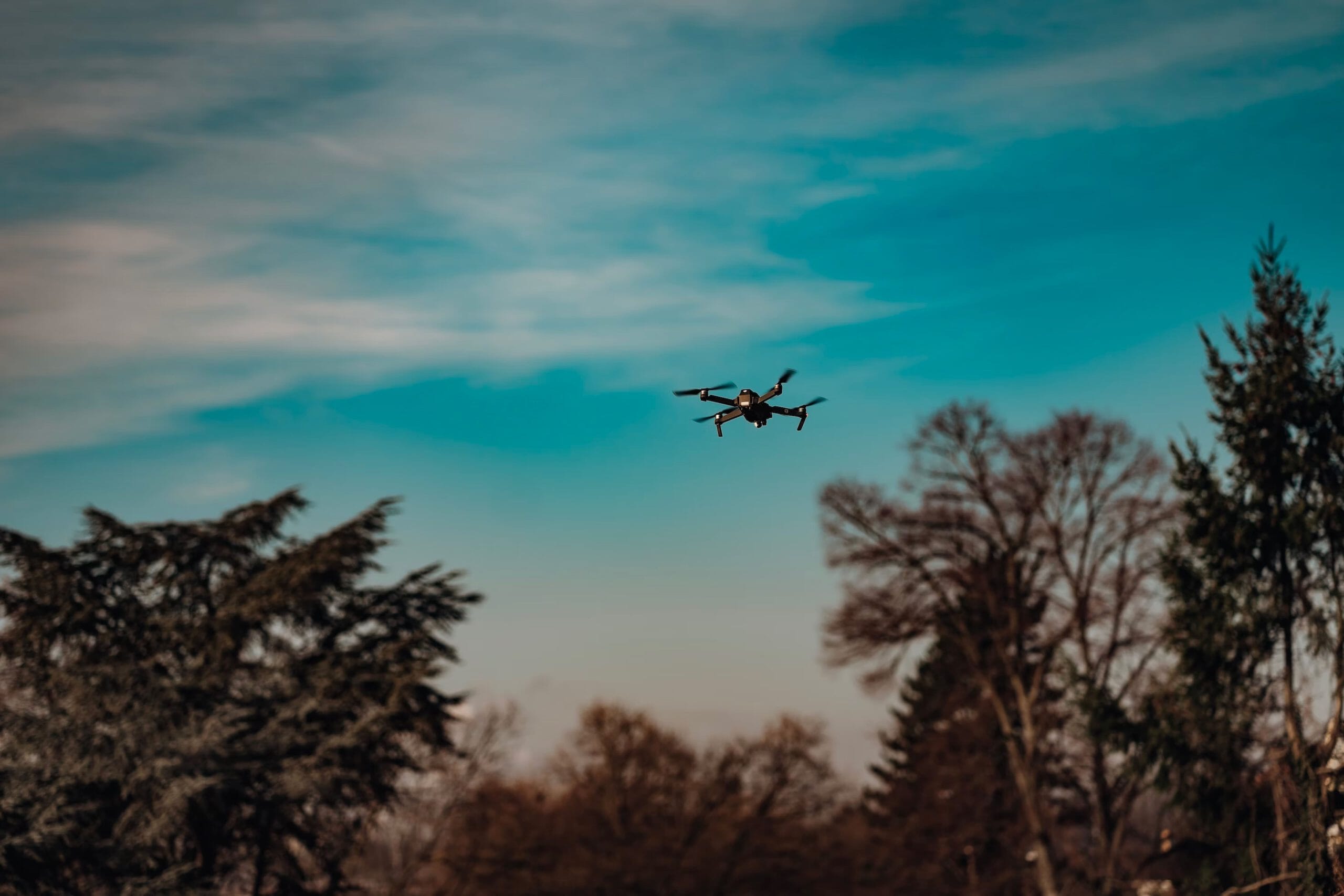 Rectangle-292-scaled.jpg?w=1024&h=683&scale