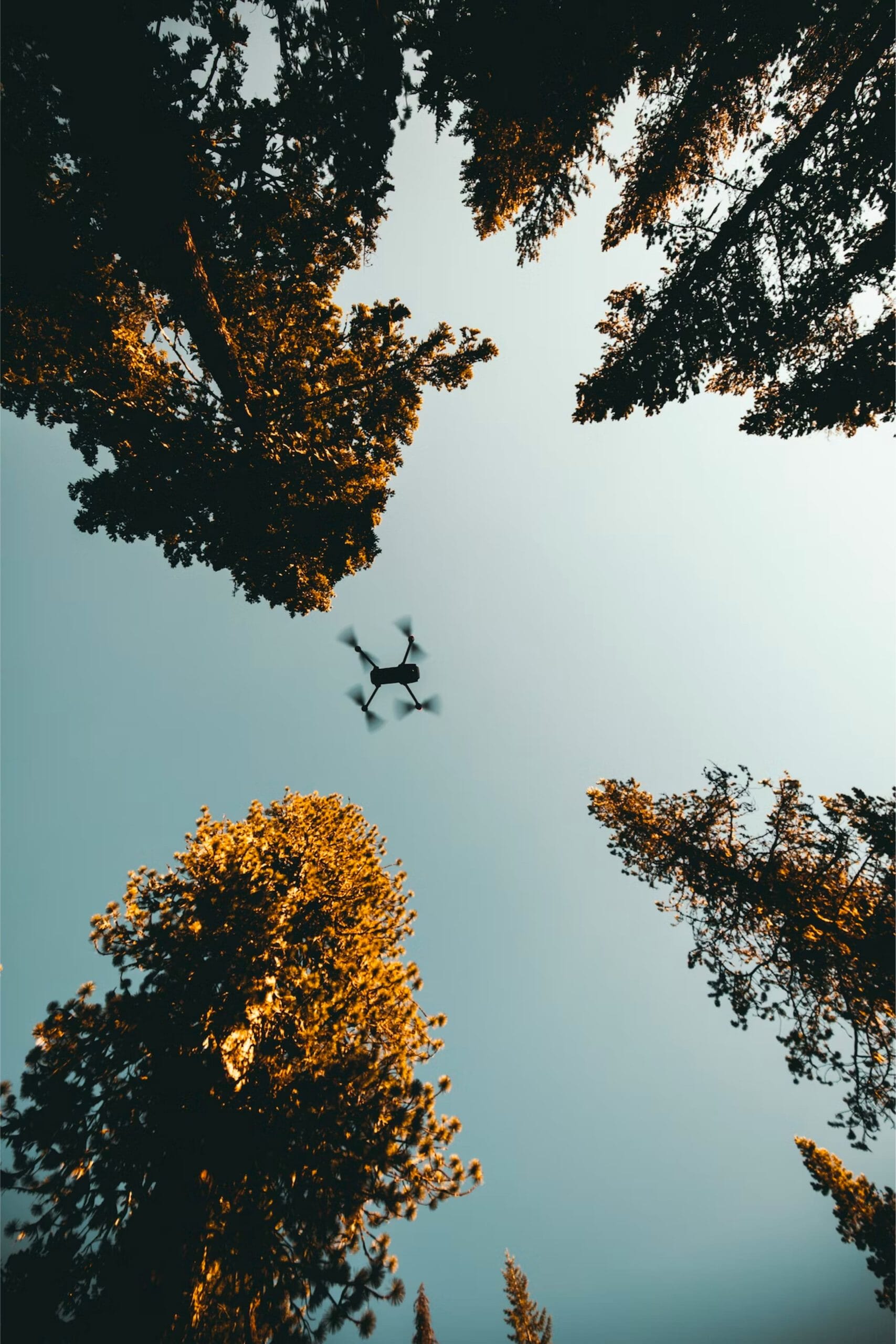 iStock-922879372-2-scaled.jpg?w=683&h=1024&scale