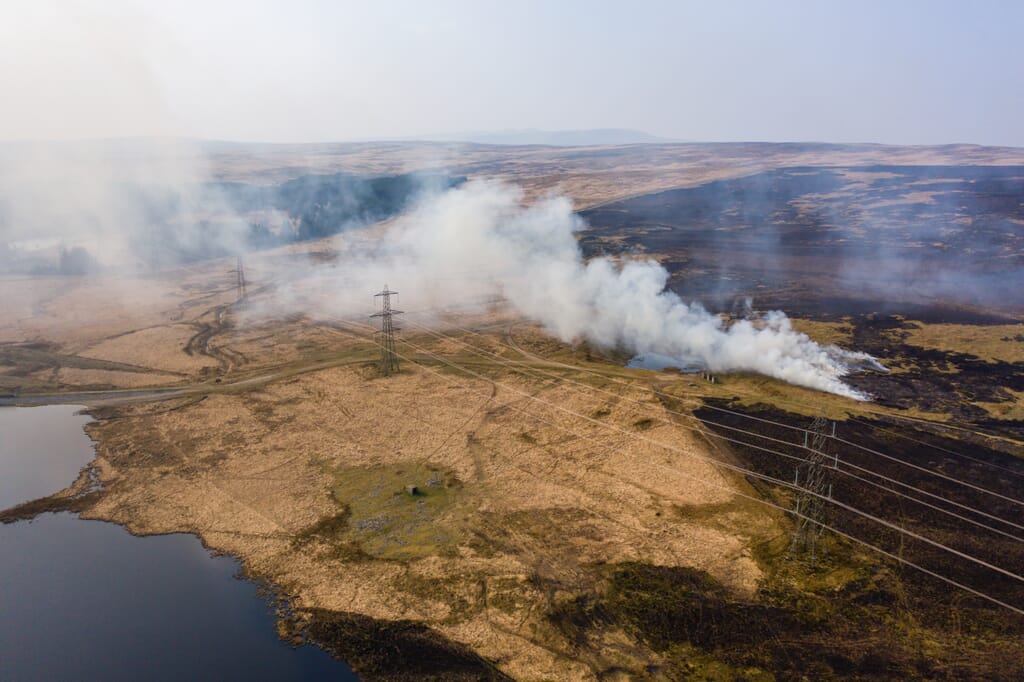 shutterstock_2147401799.jpg?w=1024&h=682&scale