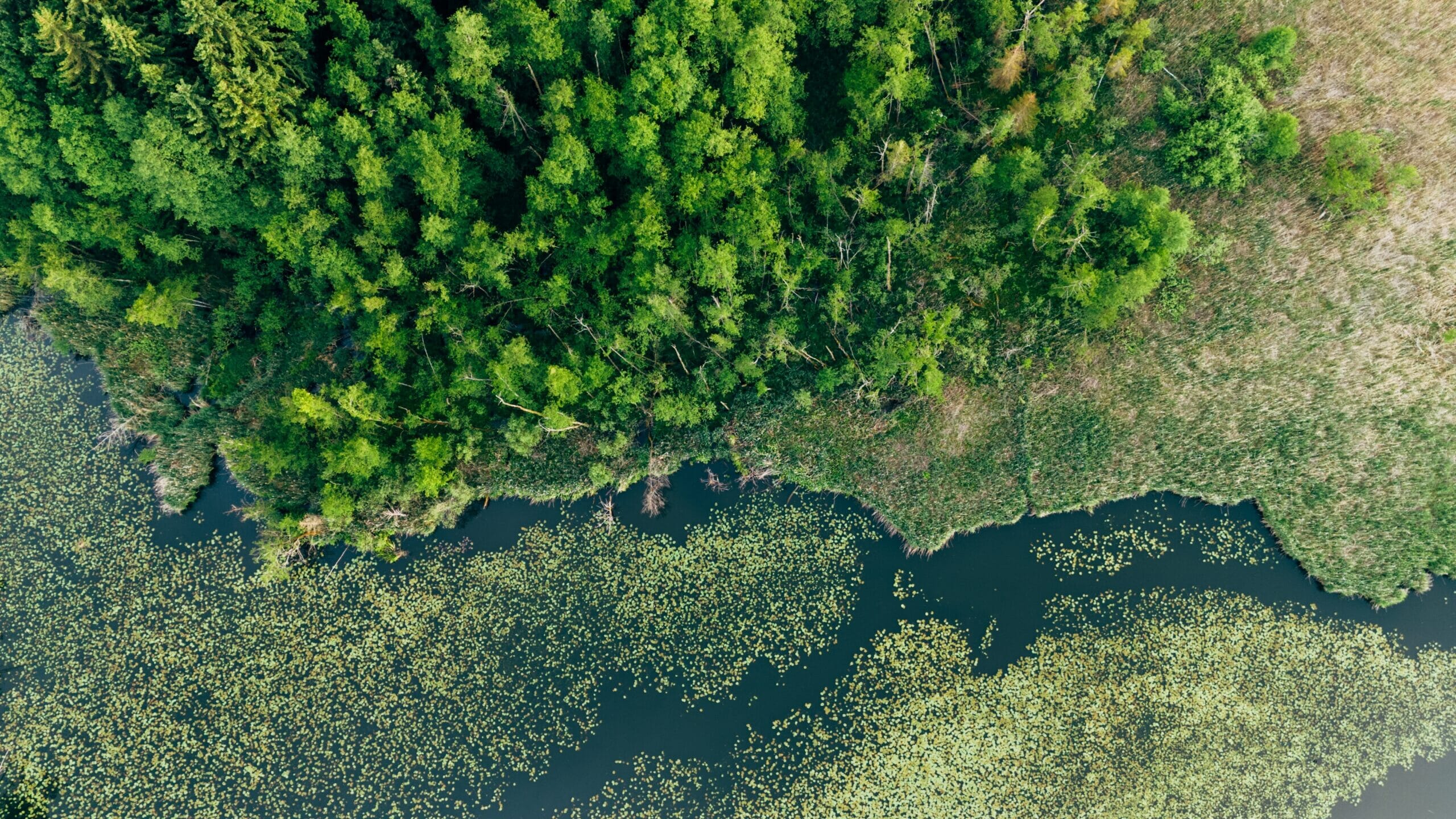 shutterstock_2636156461-scaled.jpg?w=1024&h=576&scale